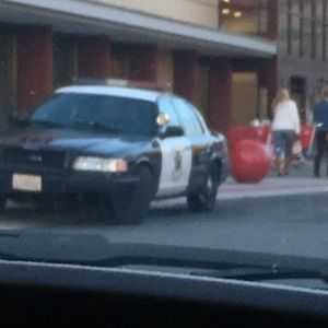 Meet your Posher, Billy